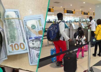 From $10,000 to $50,000: CBN Sets New Cash Travel Limit for Nigerians, Visitors
