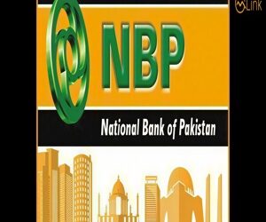 NBP issues foreign exchange rates