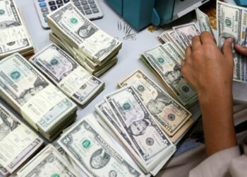 Remittances from Egyptians abroad hit US$ 34.9 billion in 9 months