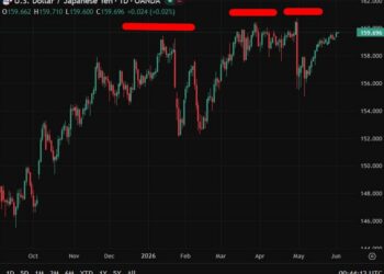 Tokyo and Washington closely monitoring forex markets together, finance minister confirms