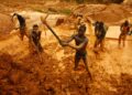 Ghana’s 2026 artisanal gold output likely to surpass record 2025 level, Gold Board says – CNBC Africa