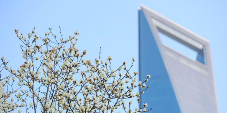 China to expand institutional opening-up of forex in H2
