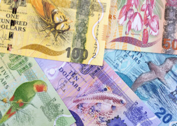 RBF warns against unlicensed foreign exchange operators