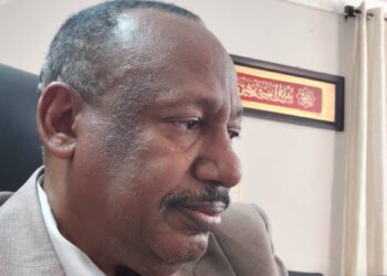 Sudan’s Customs Dollar: A Decision Chasing the Dollar or Chasing the Citizen?