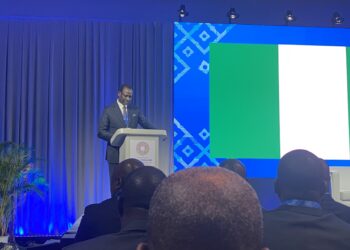 No return to fuel subsidy, multiple exchange rates, Oyedele insists